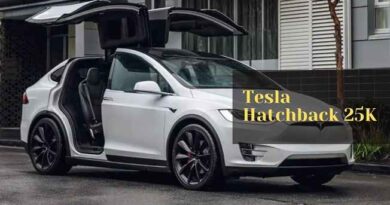 Elon Musk Confirms New $25k Tesla