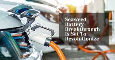Seaweed Battery Breakthrough Is Set To Revolutionize